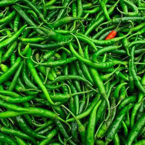 Green Chilli (Local G4)
